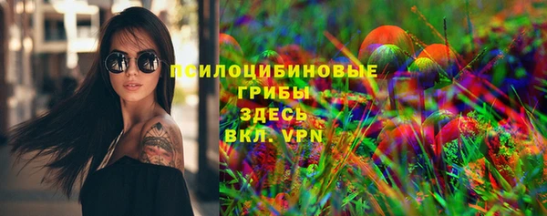 СК Апатиты